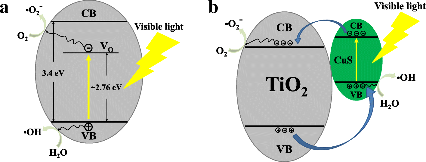 Fig. 8