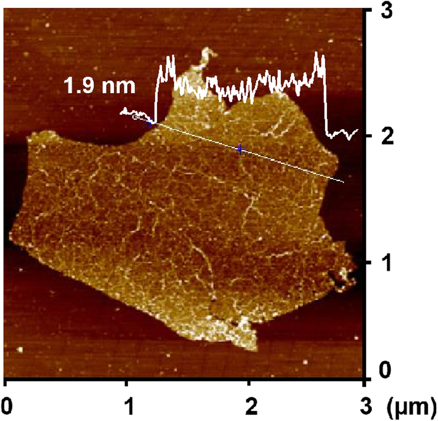 Fig. 2