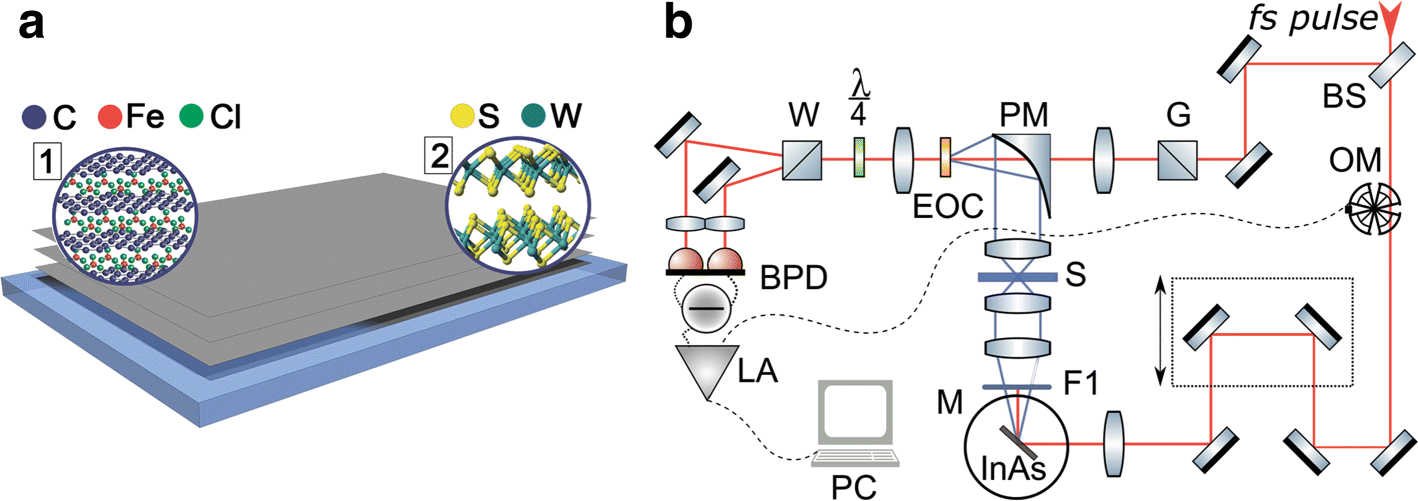 Fig. 1