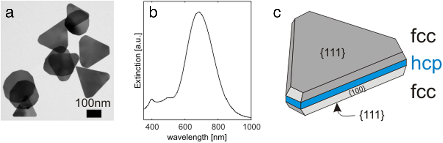 Fig. 1