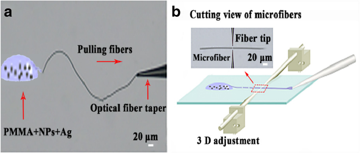 Fig. 1