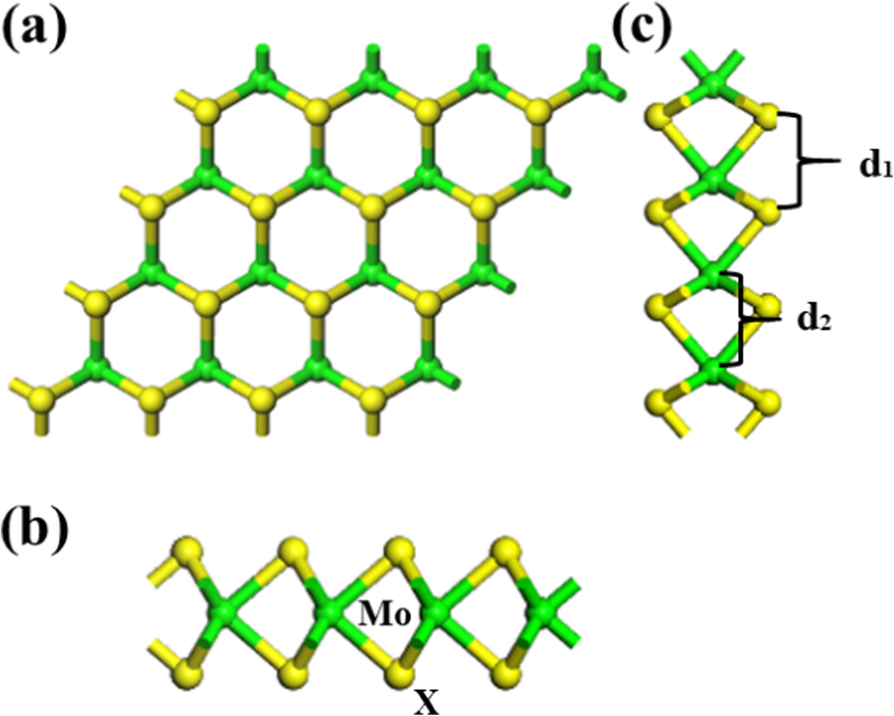 Fig.1