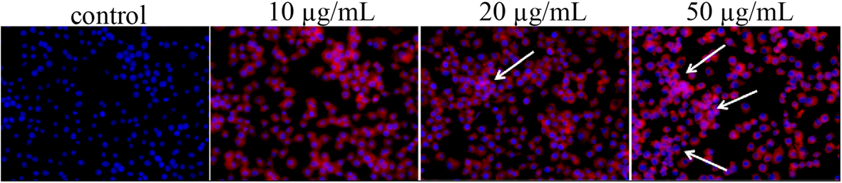 Fig. 9