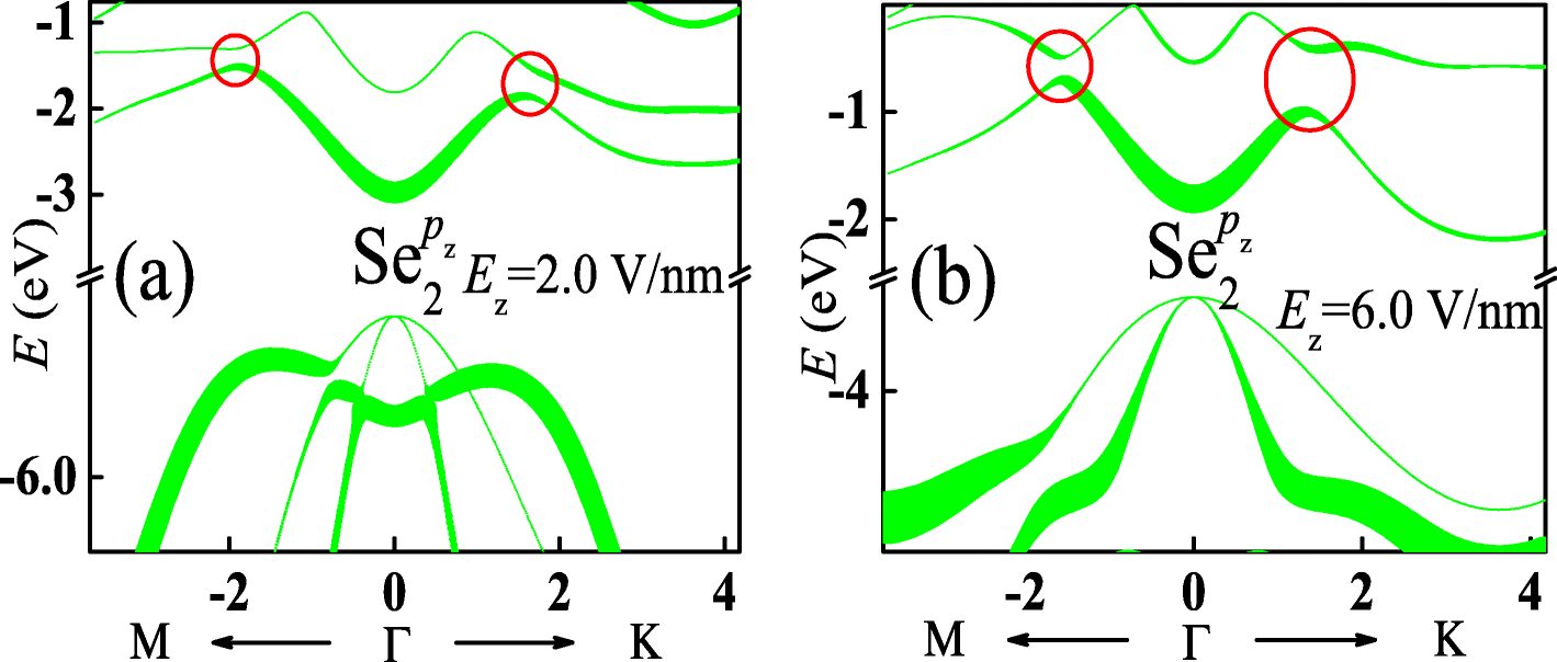 Fig. 4