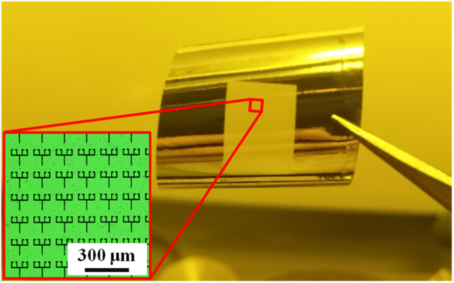 Fig. 2