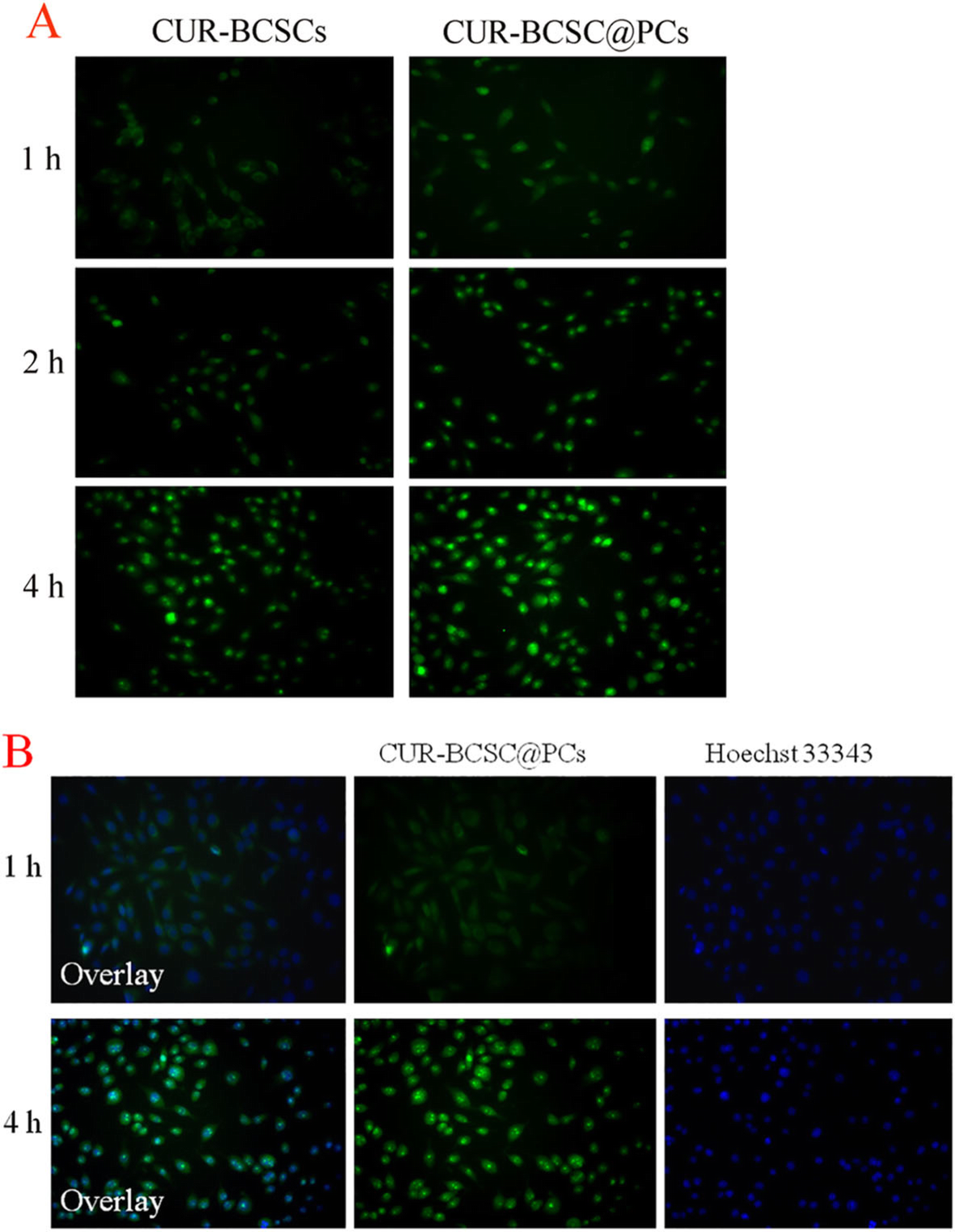 Fig. 9