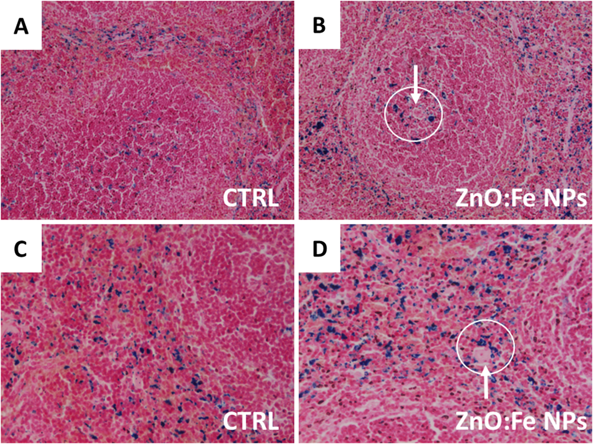 Fig. 13