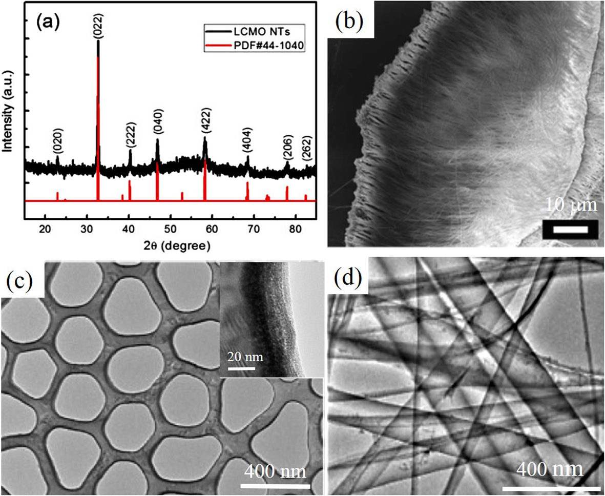 Fig. 10