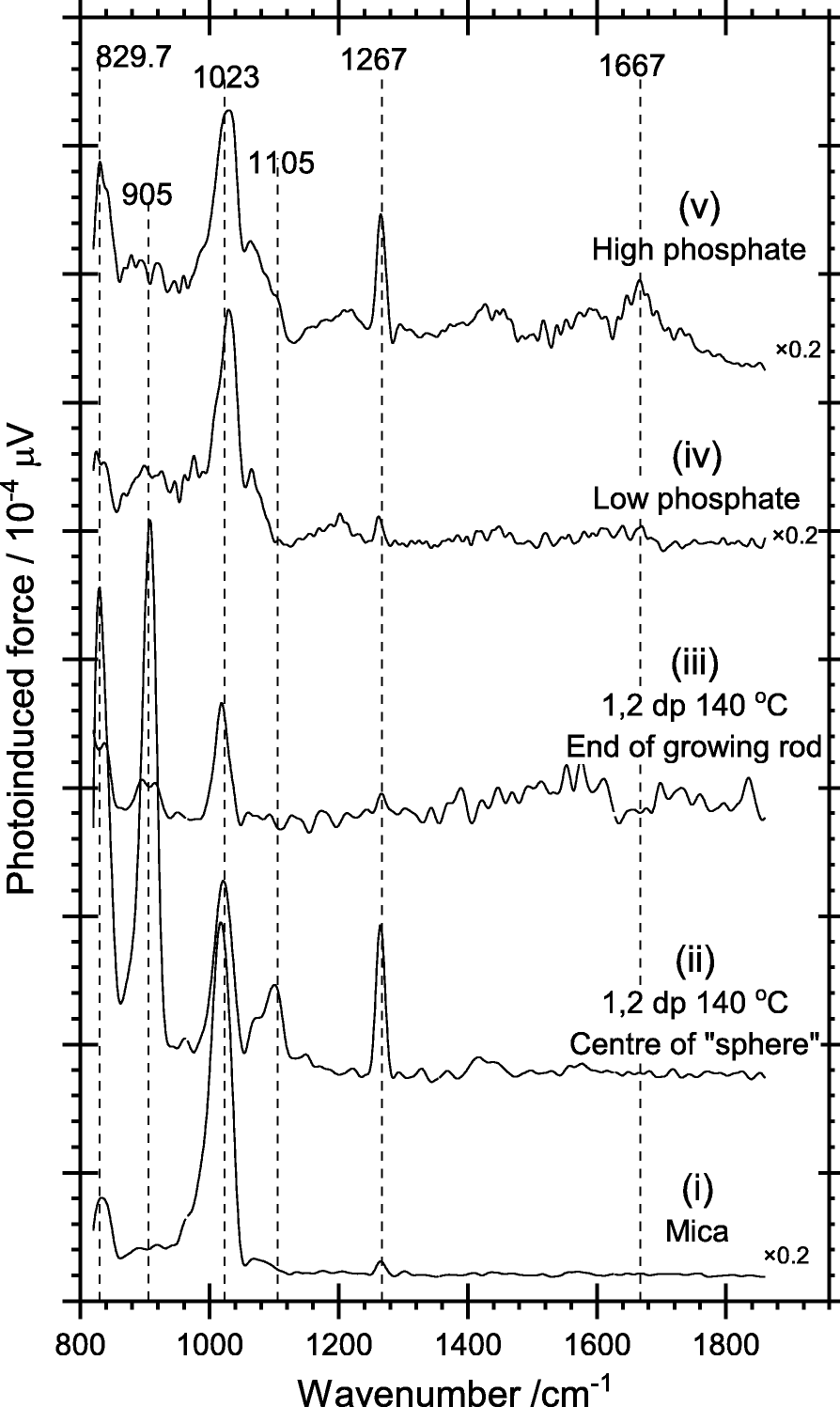 Fig. 10