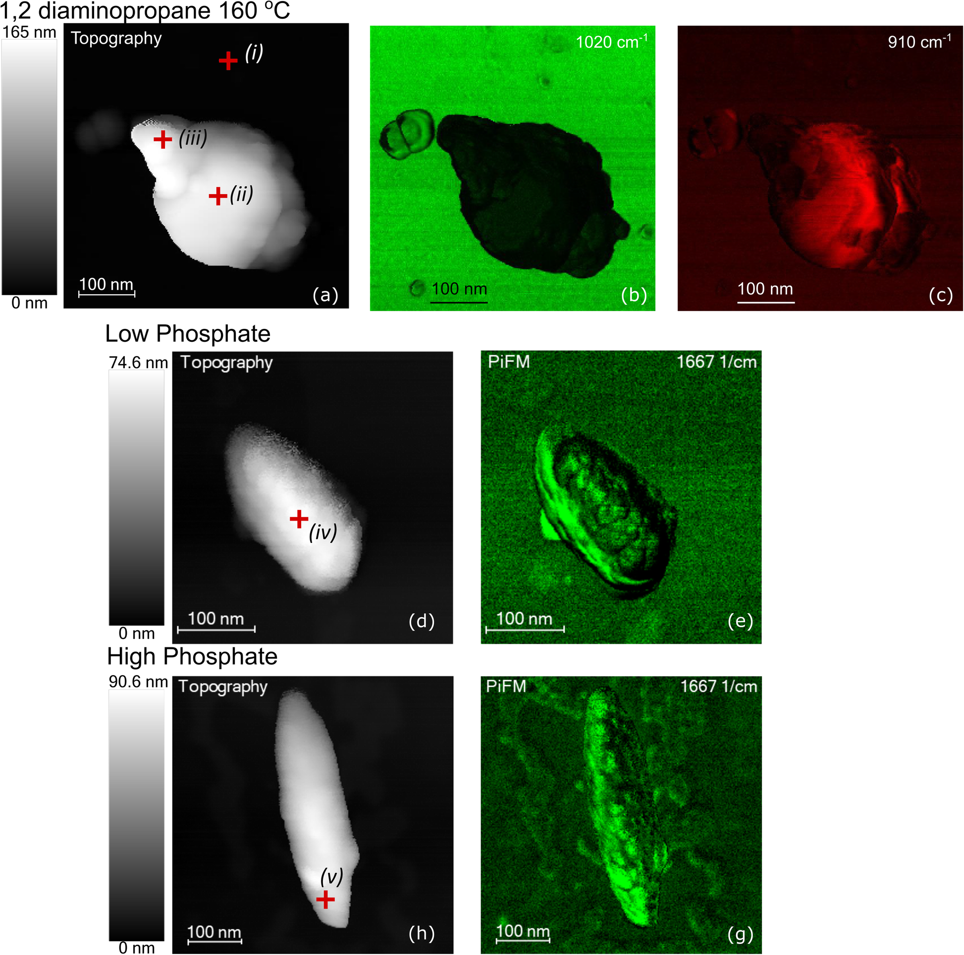 Fig. 9