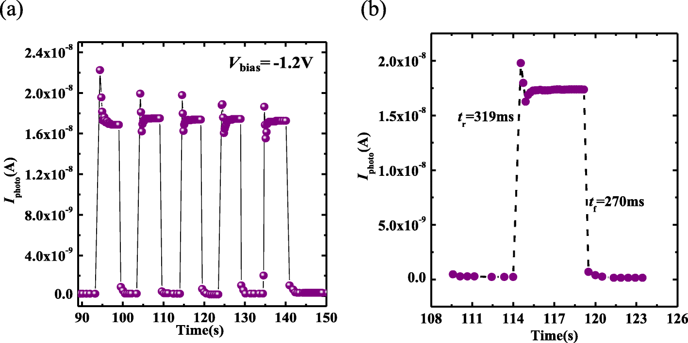 Fig. 5