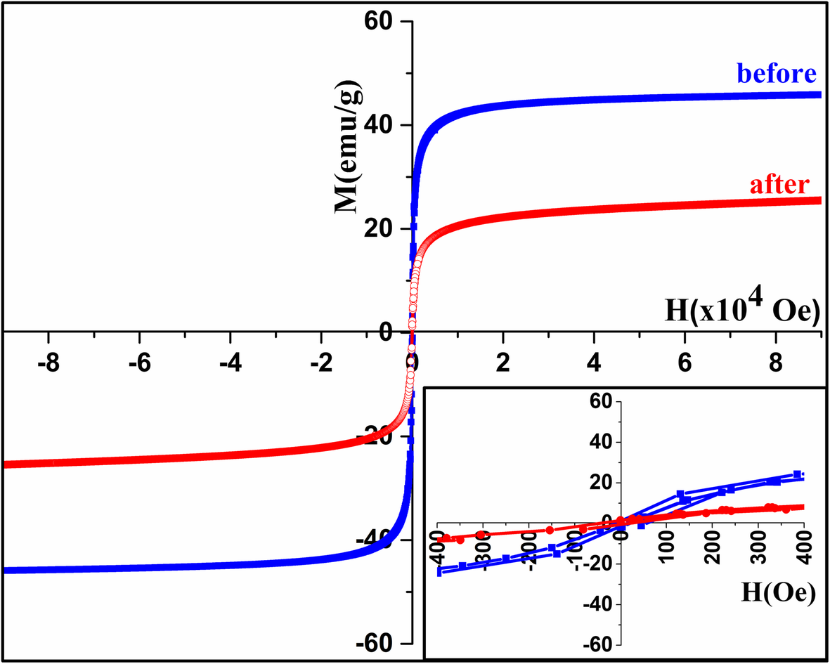 Fig. 11