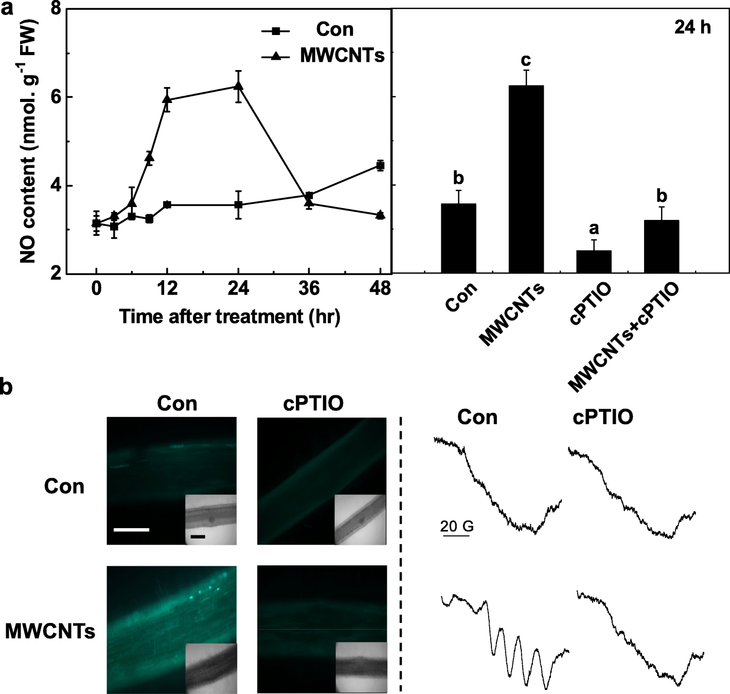 Fig. 5