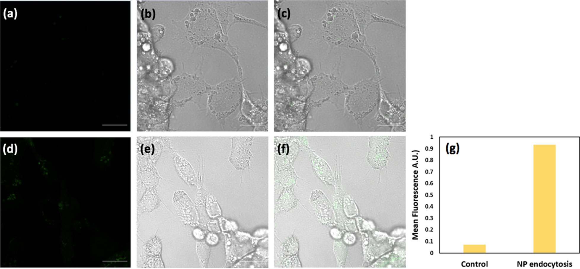 Fig. 6