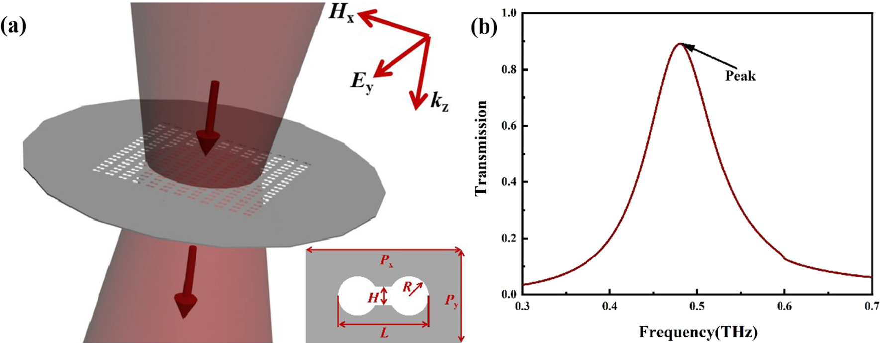 Fig. 1