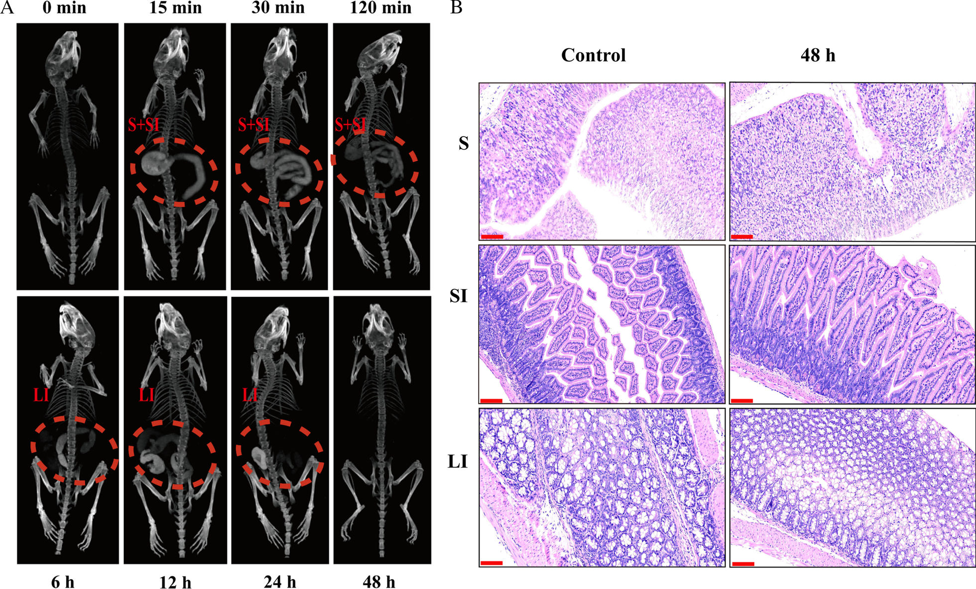 Fig. 8