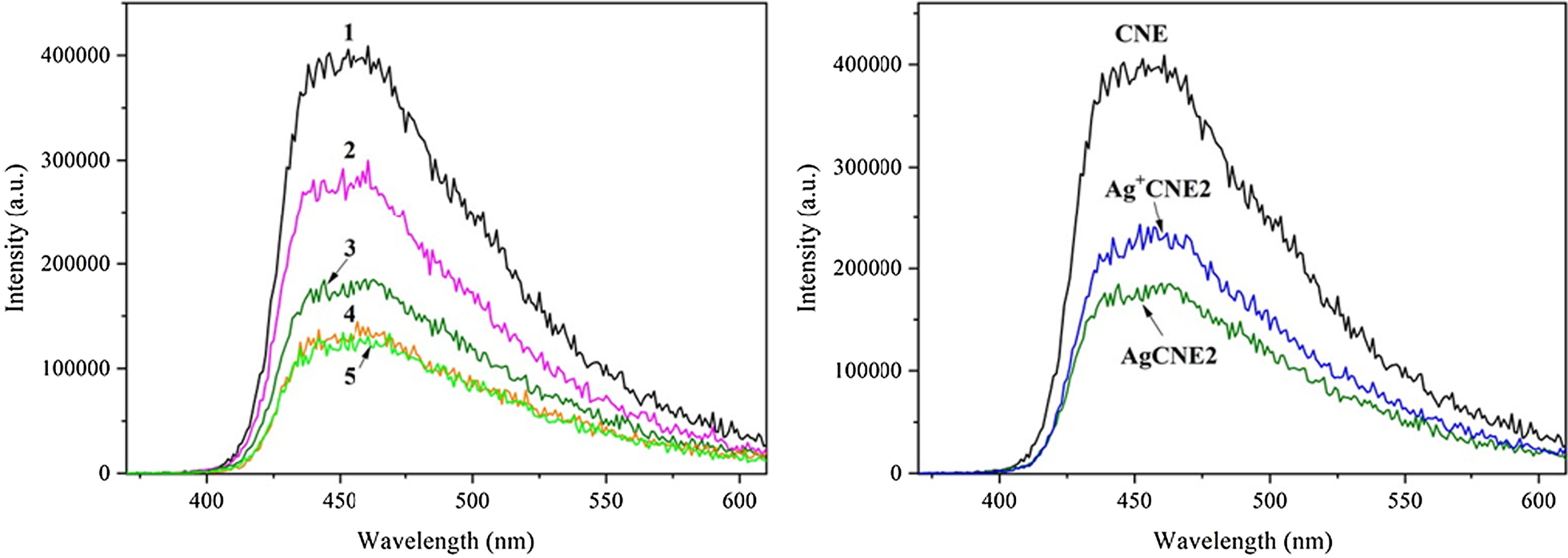 Fig. 12