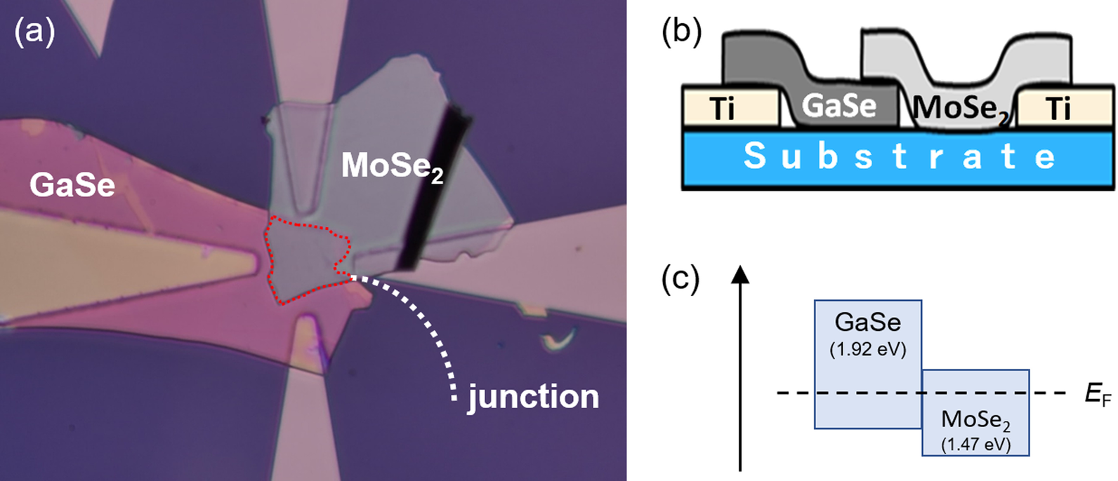 Fig. 5