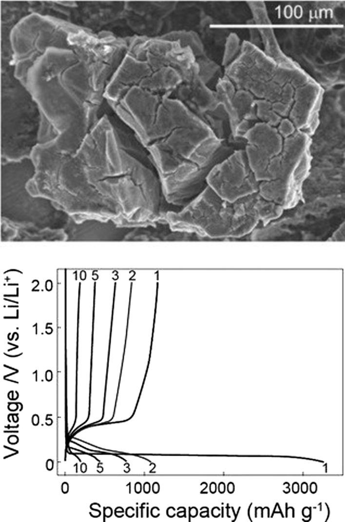 Fig. 4