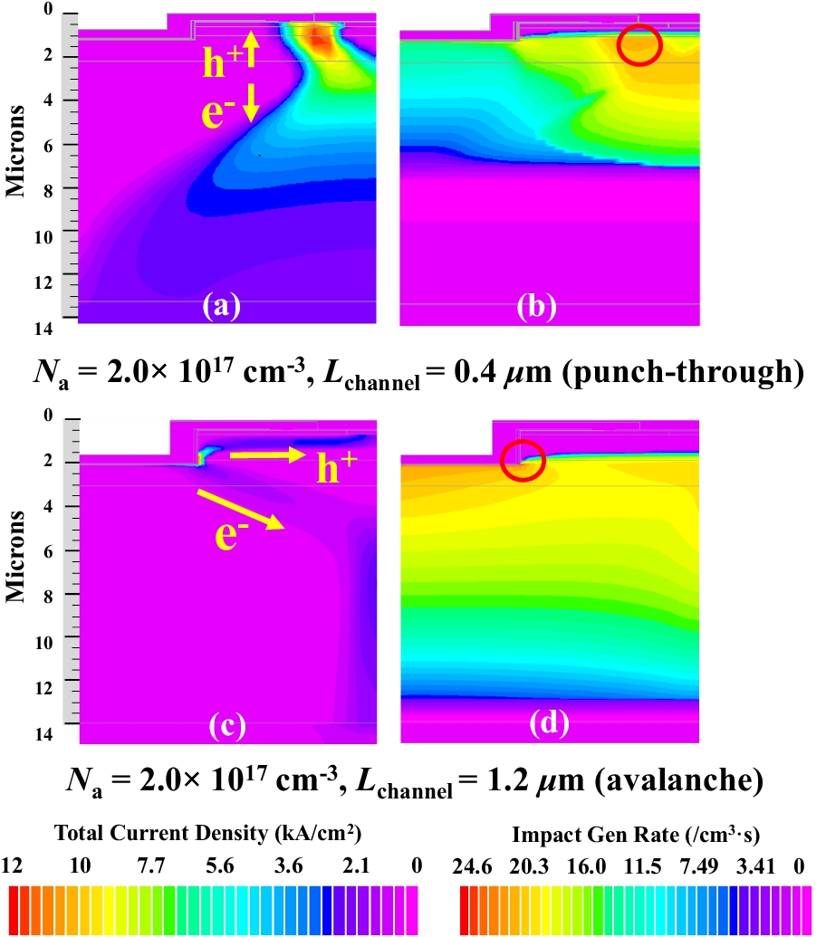 Fig. 6