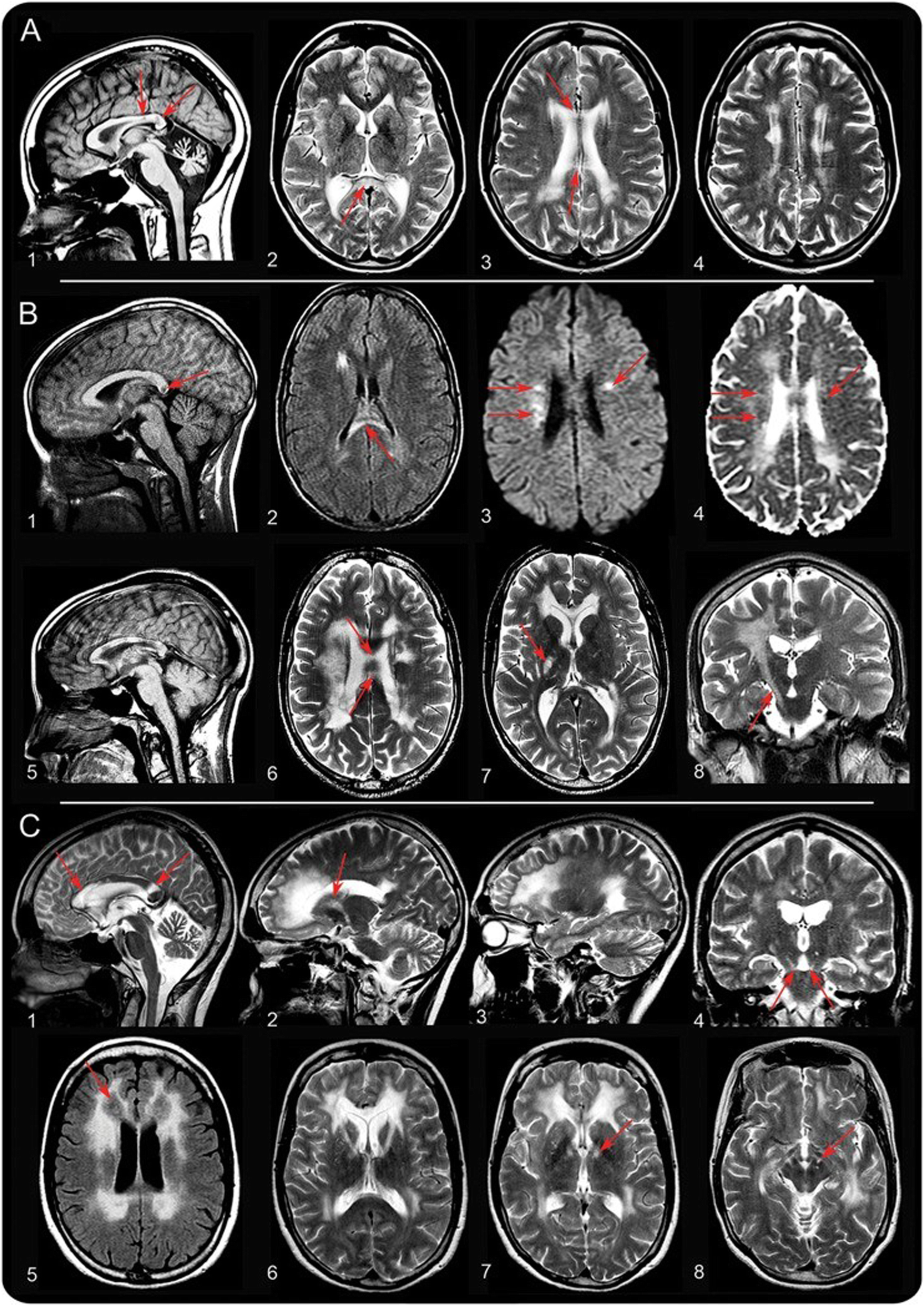 Fig. 5