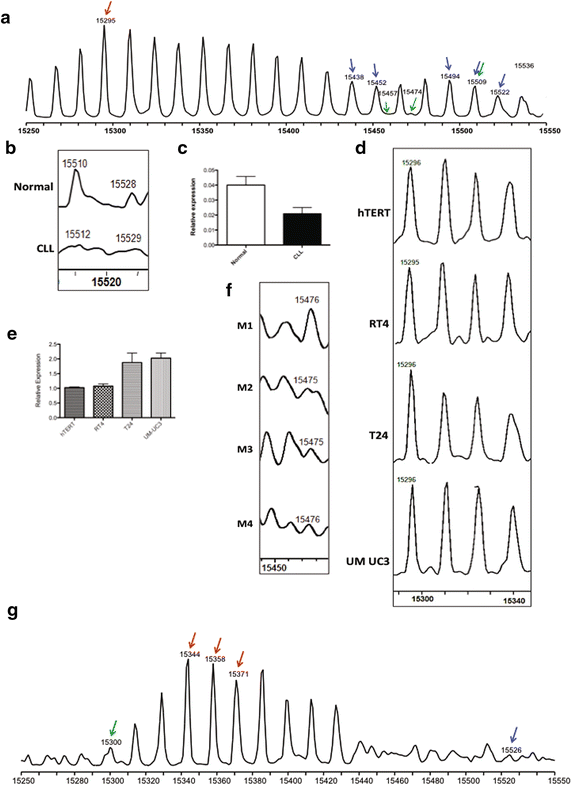 Fig. 5