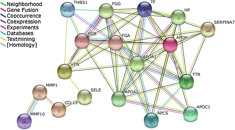 Fig. 3