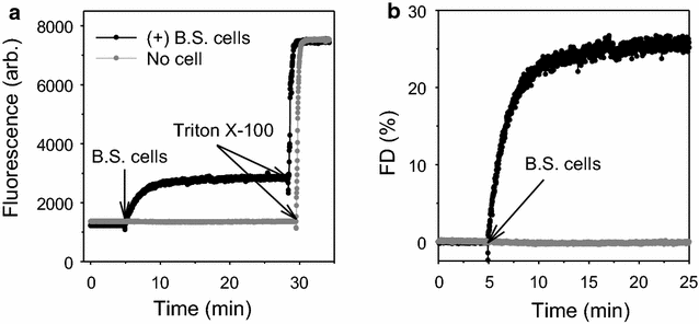 Fig. 5