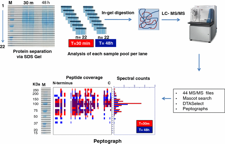 Fig. 3