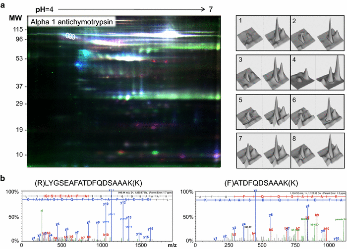 Fig. 2