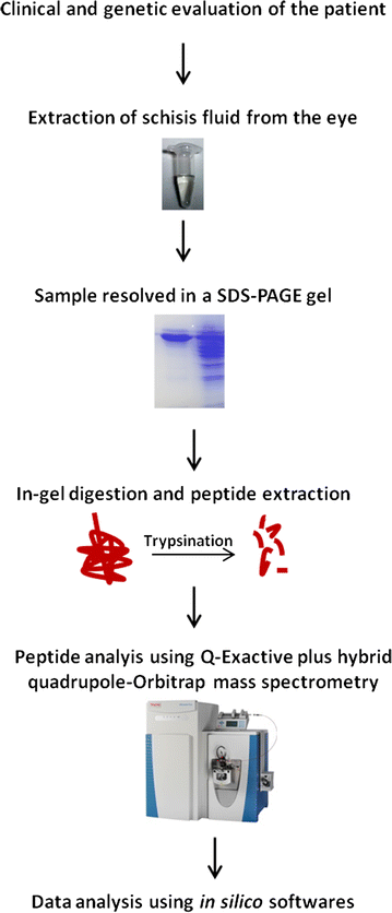 Fig. 3