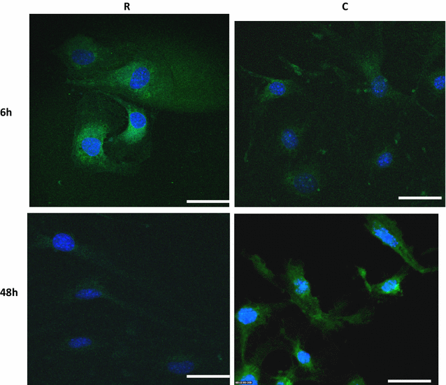 Fig. 3