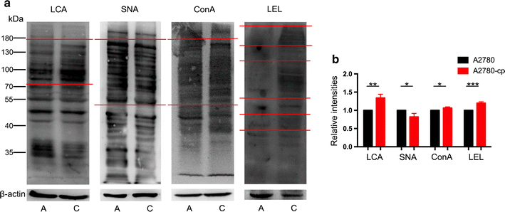 Fig. 4