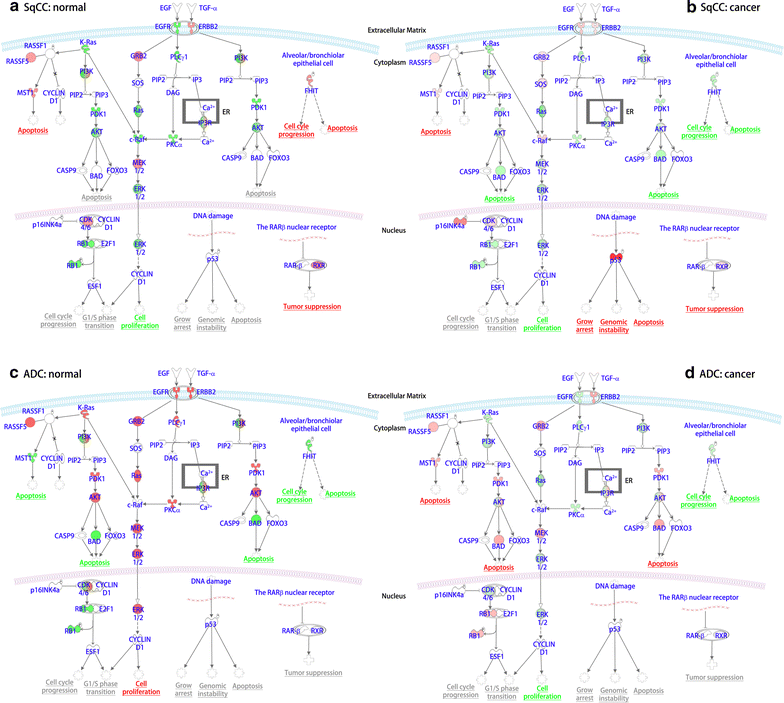 Fig. 4