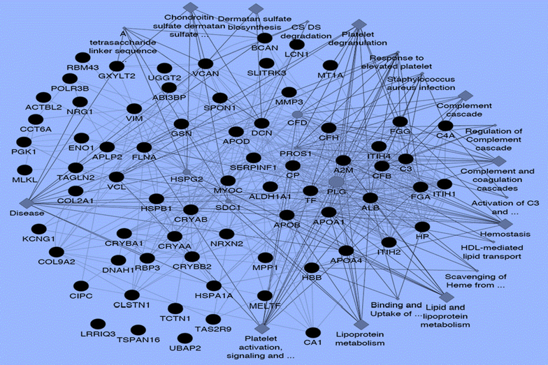 Fig. 3