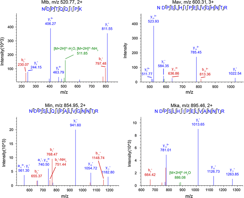 Fig. 2