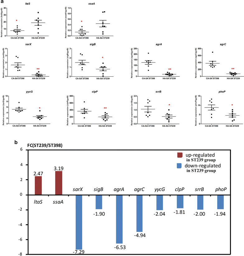 Fig. 4