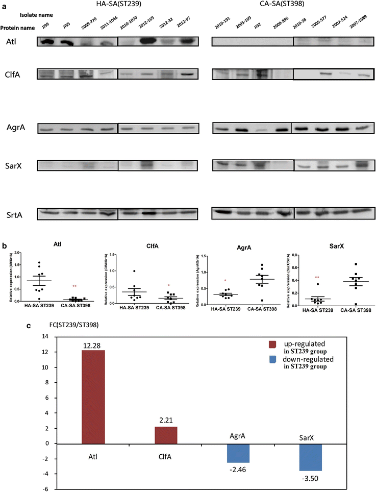 Fig. 5