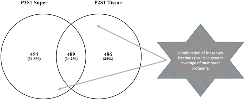 Fig. 5