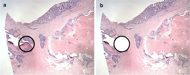 Fig. 2