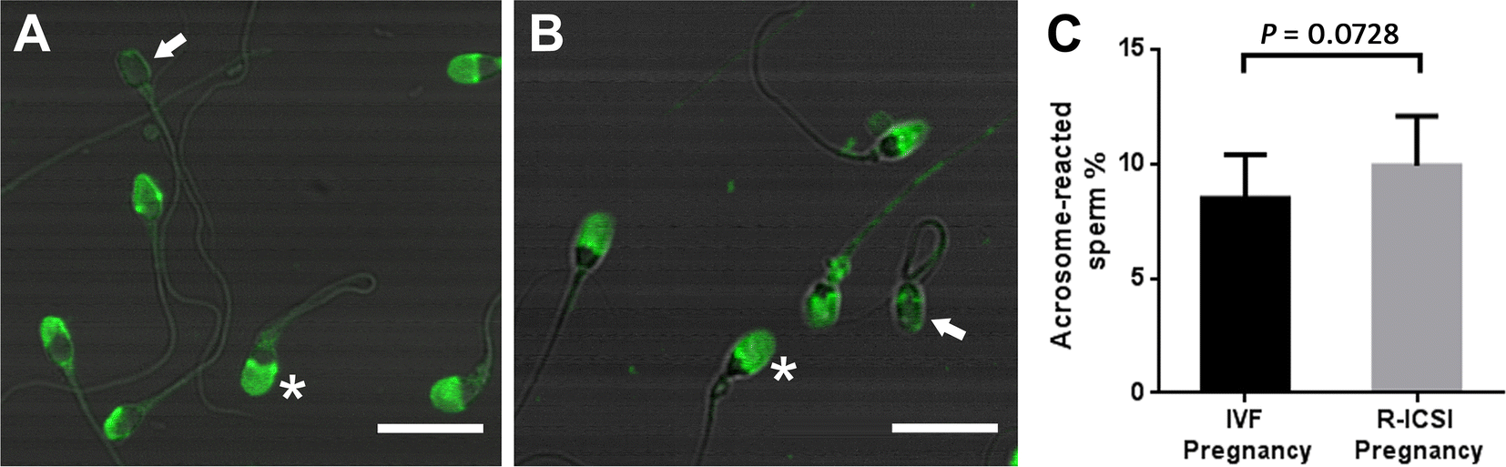 Fig. 2