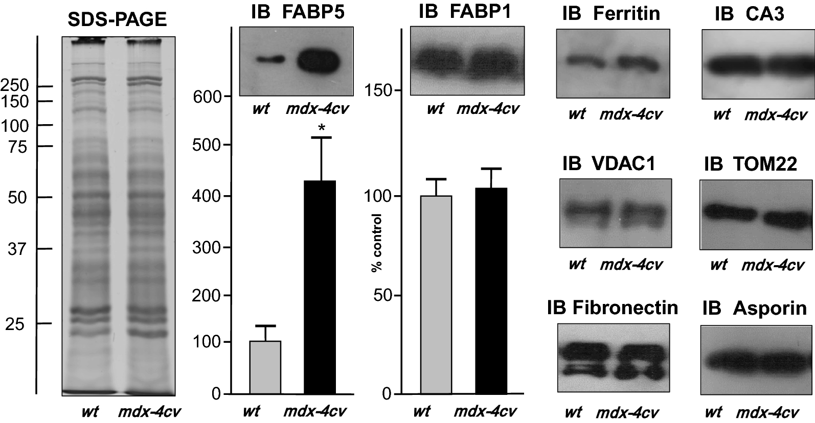 Fig. 7