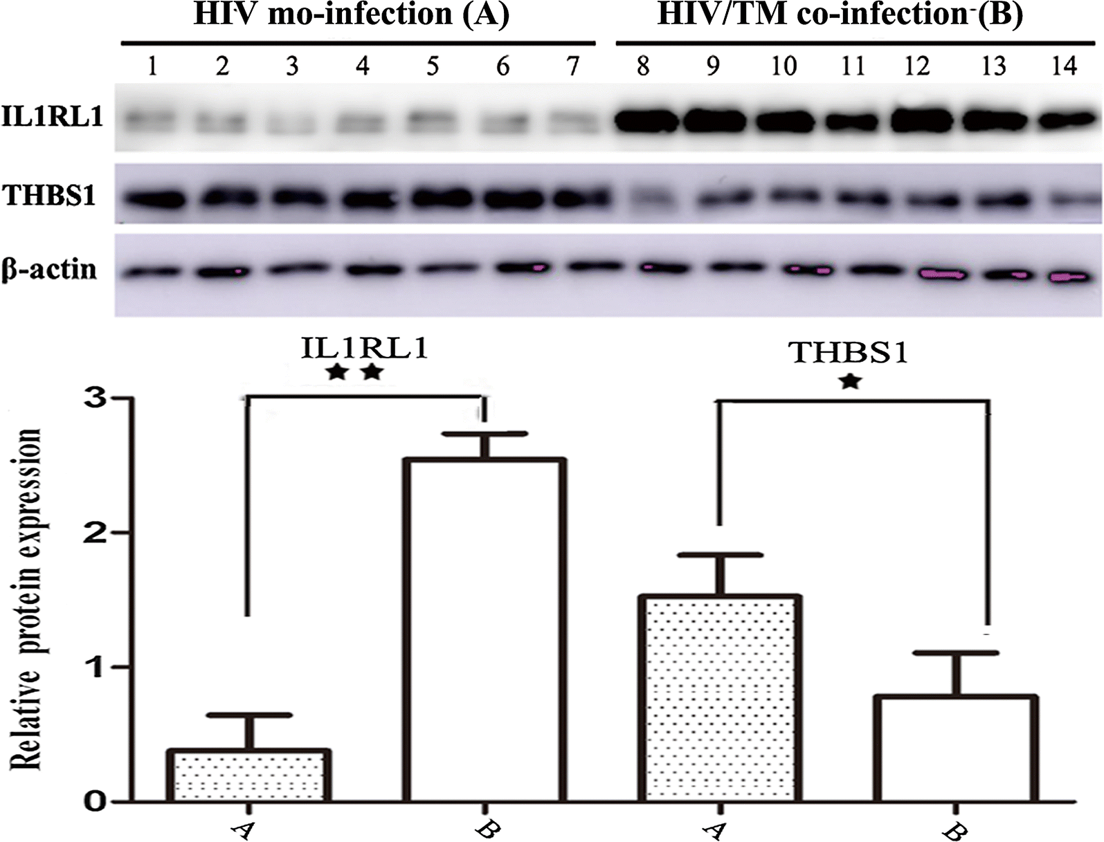 Fig. 4