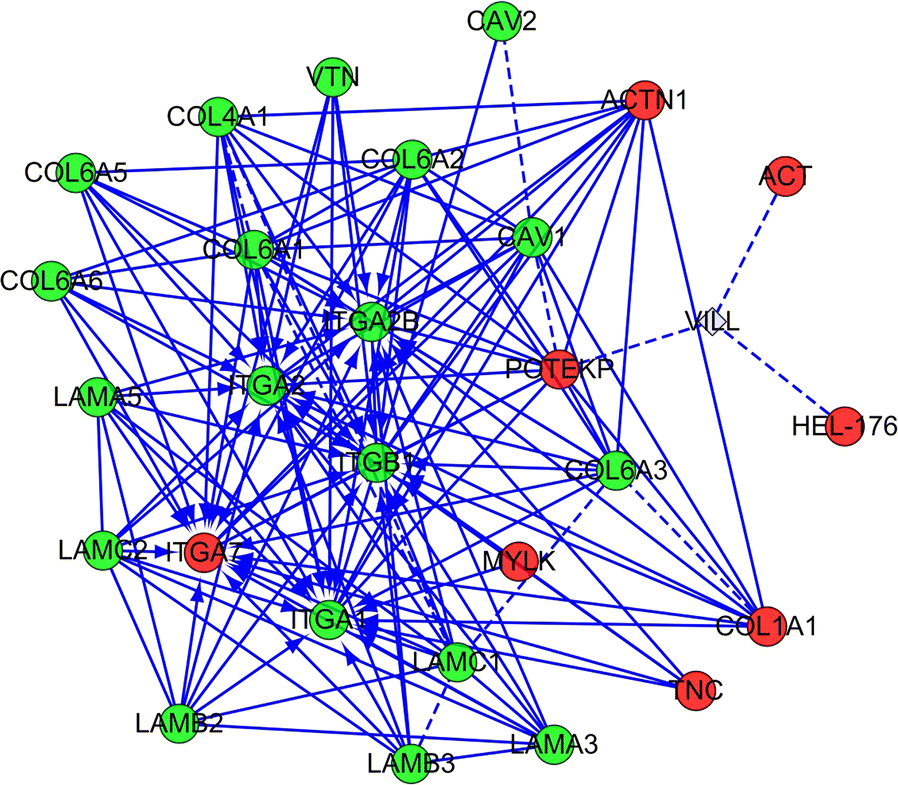 Fig. 4