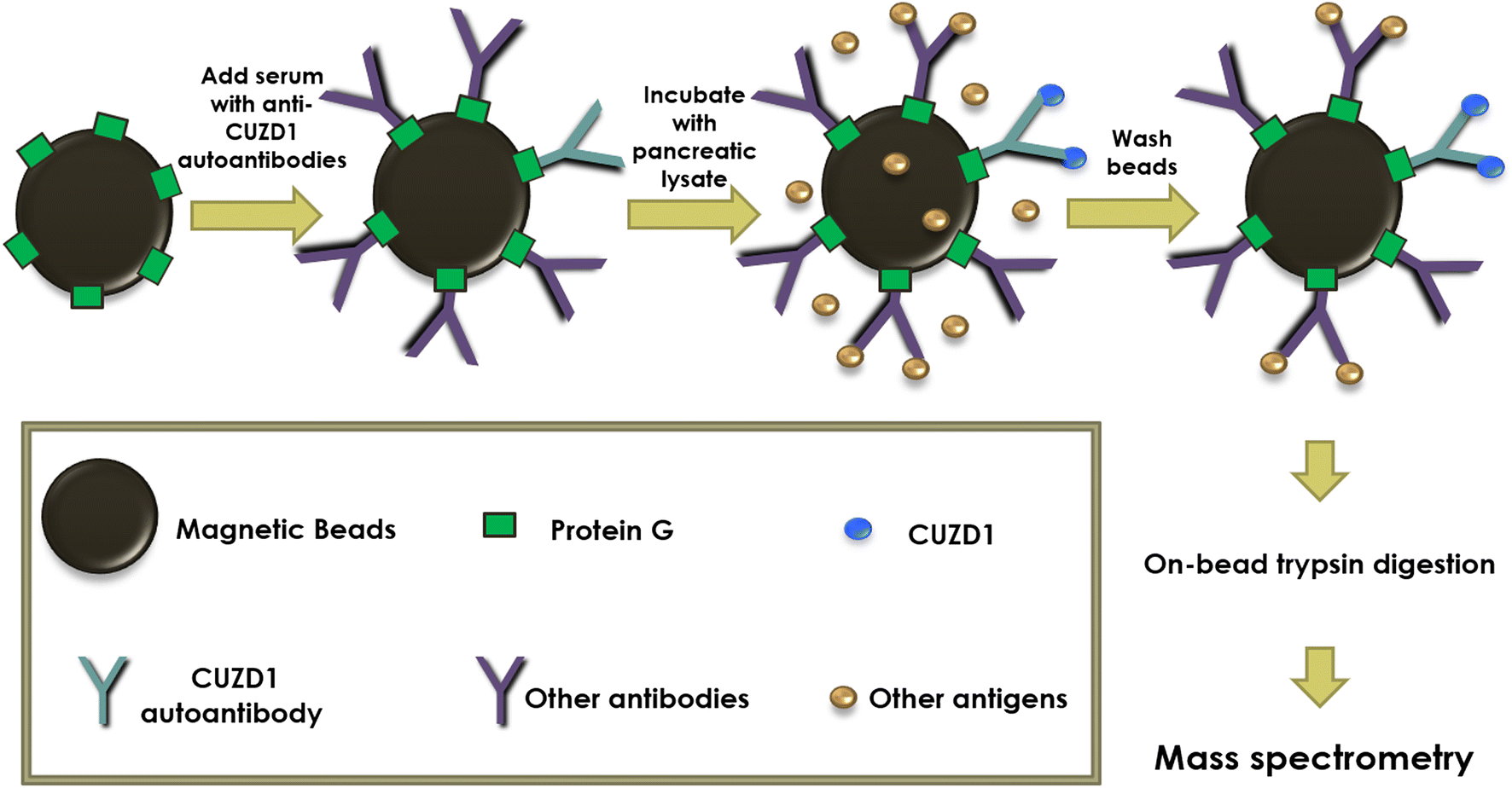 Fig. 1