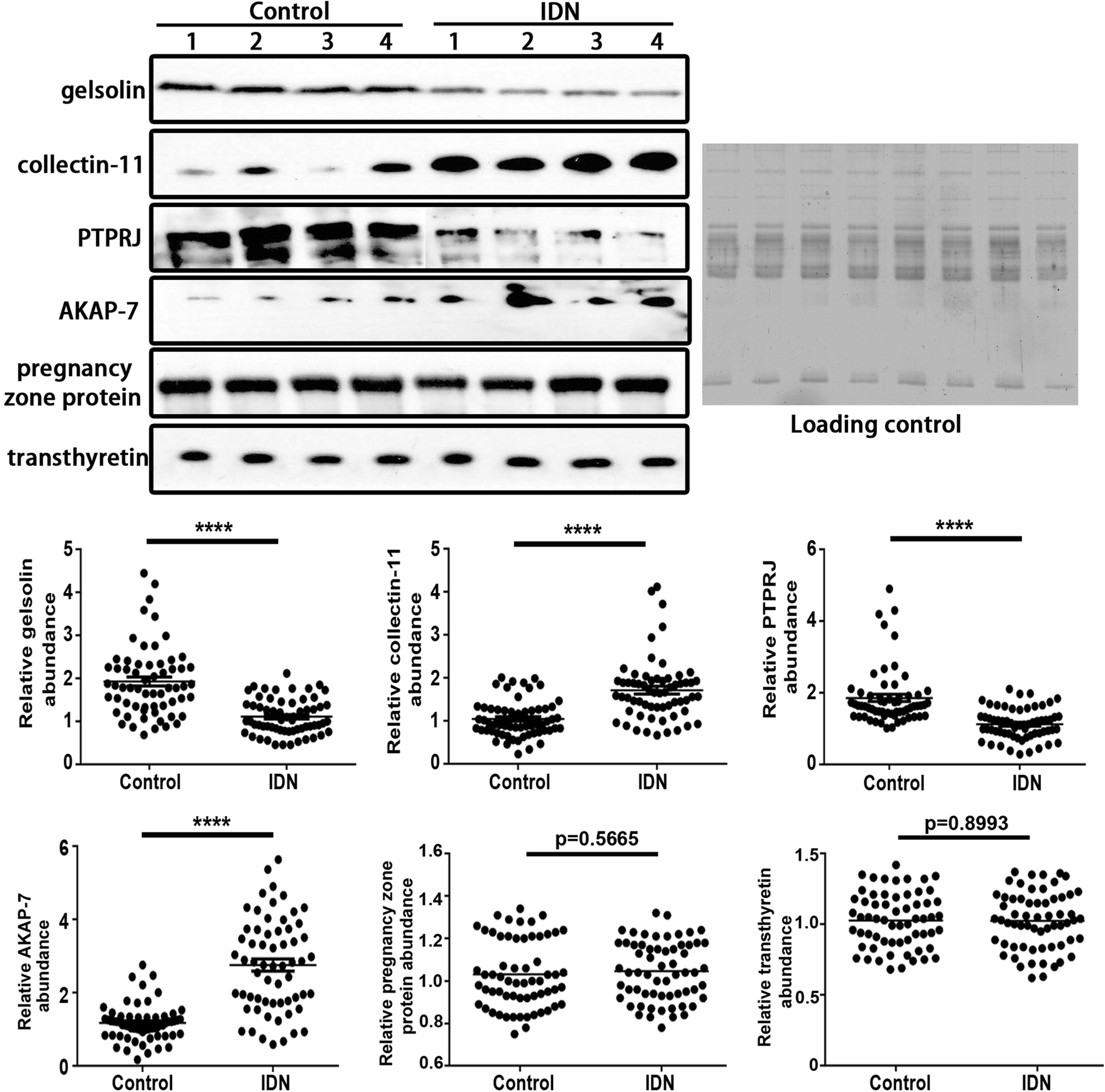 Fig. 6