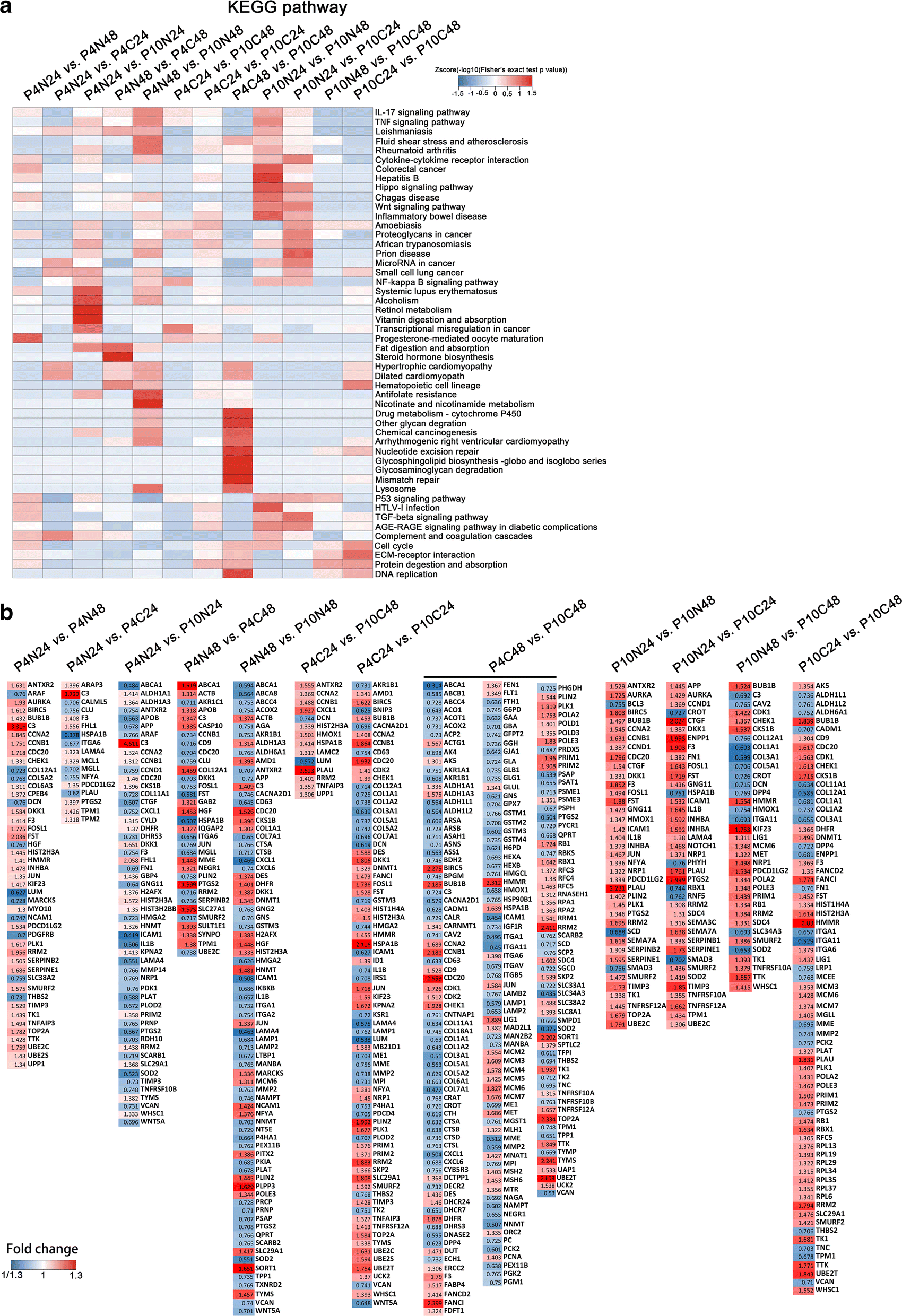 Fig. 6