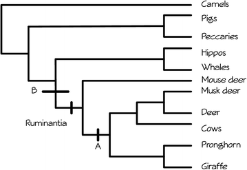 Fig. 5