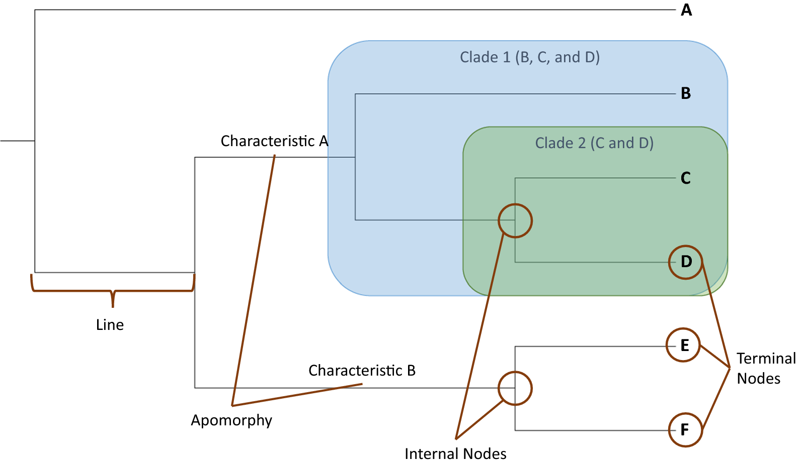 Fig. 1