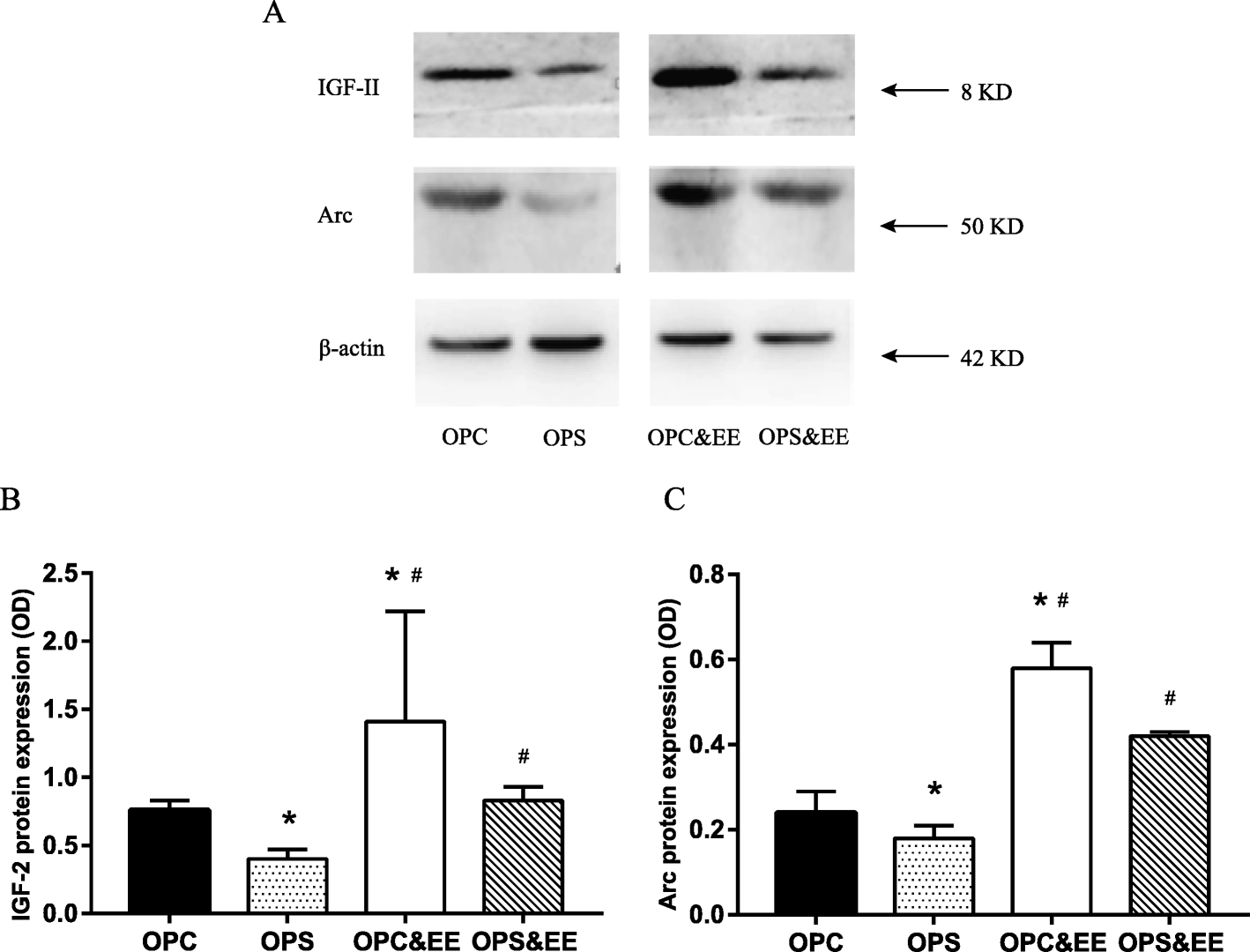 Fig. 8